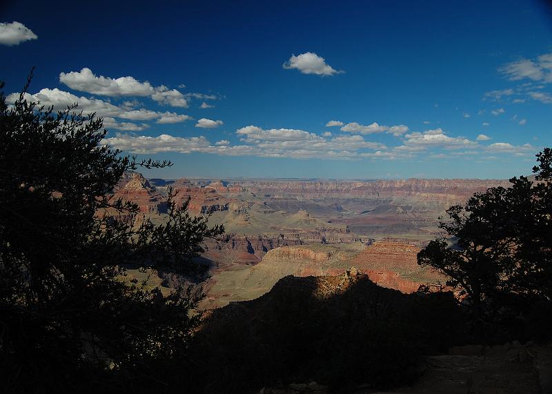 IMAGE-1237.JPG