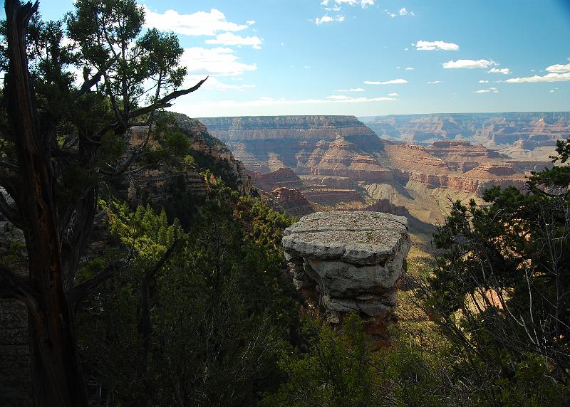 IMAGE-1248.JPG