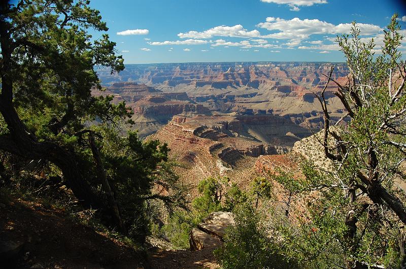 IMAGE-1259.JPG