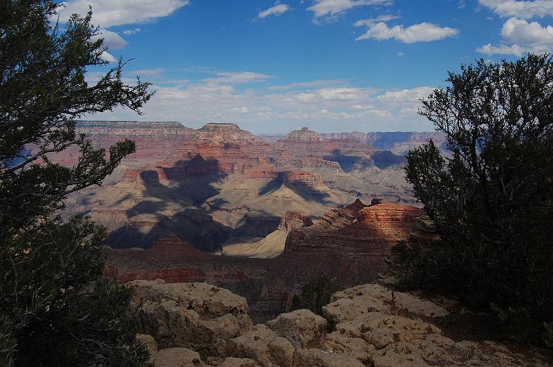 IMAGE-1401.JPG