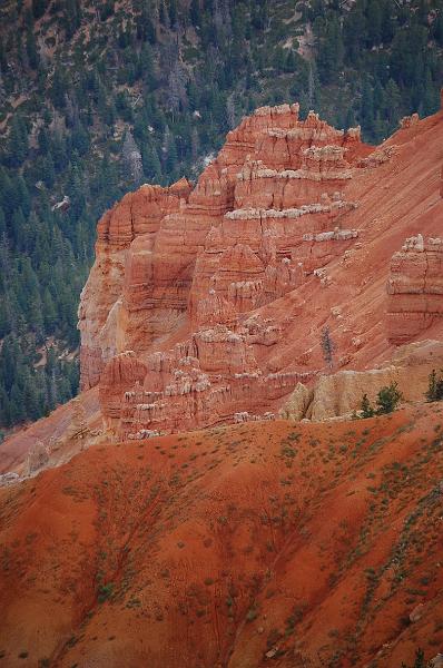 IMAGE-455.JPG