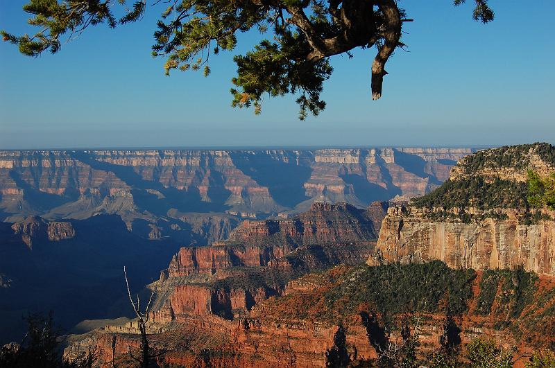 IMAGE-917.JPG