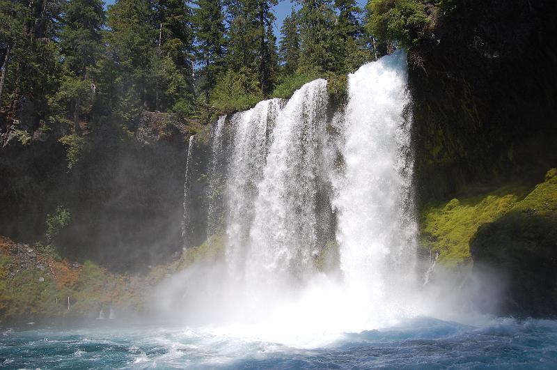 IMAGE-306.JPG