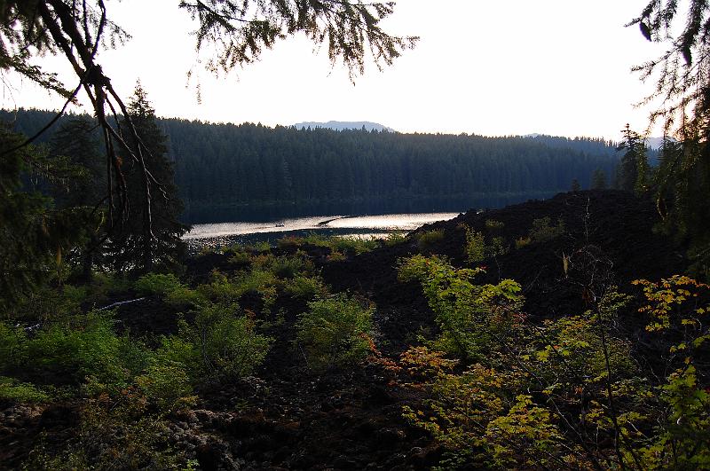 IMAGE-377.JPG