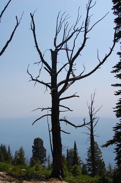 DSC_0297.JPG