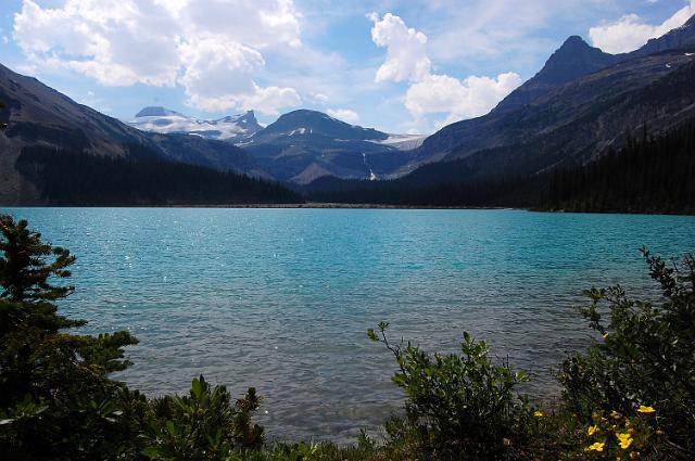 DSC_0189.JPG - Bow Lake