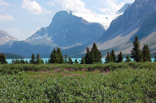 DSC_0243.JPG - Bow Lake