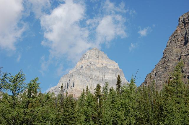 DSC_0319.JPG