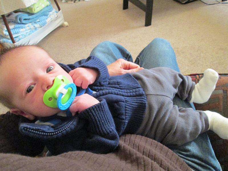 IMG-115.JPG -                                