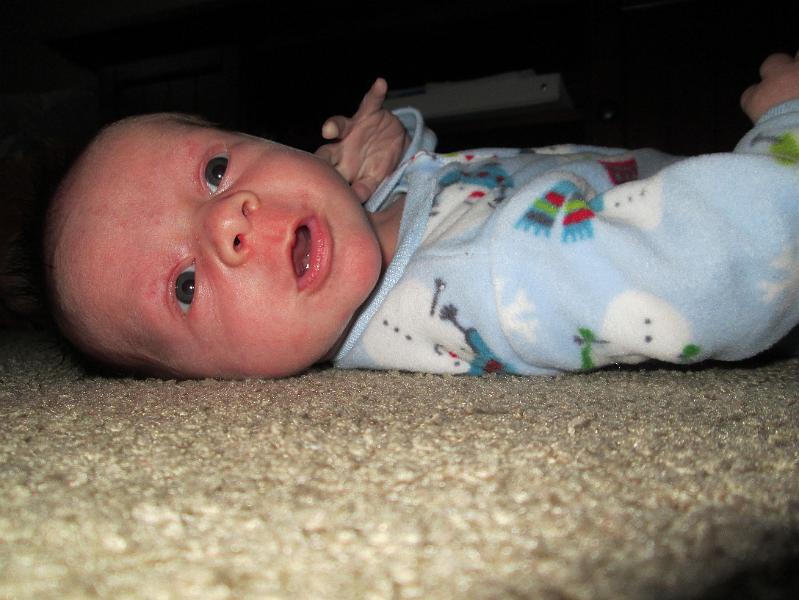 IMG-167.JPG -                                