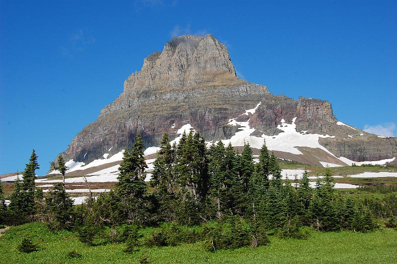 DSC_0446.JPG