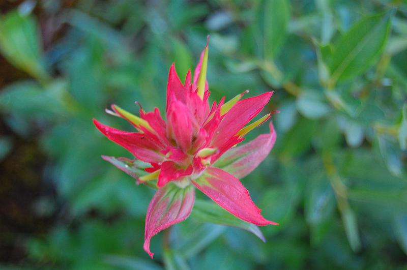 DSC_0535.JPG