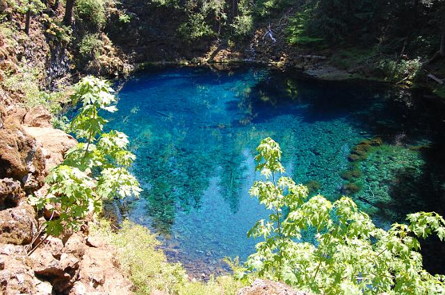 IMAGE-158.JPG - Blue Hole  - McKenzie River