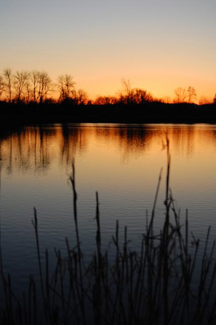 IMAGE-27.JPG - Evening Pond