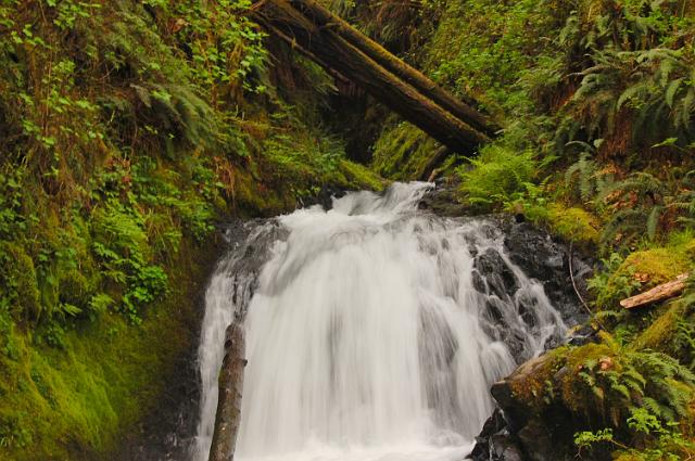 IMAGE-56.JPG - Sheperds Dell Falls